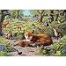 1000 Piece Jigsaw Puzzle Foxley Wood - Foxes & Fox Cubs In The Forest