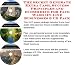 Search : The Secret Generate Extra Cash, Success Principles and eCommerce for Face Wash On-line Businesses 3 CD Pack