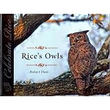 Rice's Owls