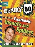 Insects and spiders