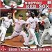 Boston Red Sox 2010 Team Calendar