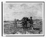 Historic Print (L): La charrette (Troyon) / C. Troyon ; Lalanne.