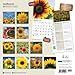 Sunflowers 2014 Square 12x12