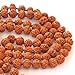 HealthAndYoga(TM) Rudraksh Mala - 8-9 Millimetre