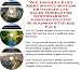 Book The Insider's Earn More Money, Success Principles and Sales Models for Snowboarding Goggles On-line Businesses 3 Course Pack
