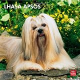 Lhasa Apsos 2013 - Lhasaterrier - Original BrownTrout-Kalender
