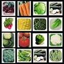 Survival Vegetable Seeds Non Hybrid NO GMO Heirloom