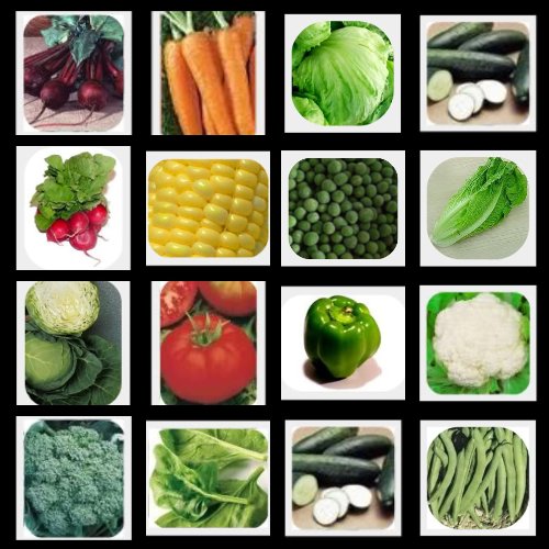 Survival Vegetable Seeds Non Hybrid NO GMO Heirloom