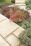 Bradstone, Old Town Paving Weathered Limestone Mixed Sizes to Cover 6.4 m2