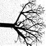 We the Wintering Tree