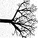 We the Wintering Tree