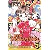 St. Dragon Girl, Vol. 5