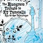 The Bluegrass Tribute to KT Tunstall - Eye to the Telescope