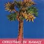 Christmas In Hawaii