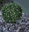 Solar LED Lichterkette 50-Teilig
