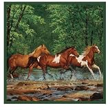 Expressions Spring Creek Run Shower Curtain