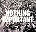 Nothing Important