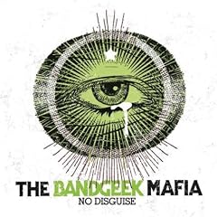 No Disguise