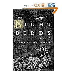 Night Birds