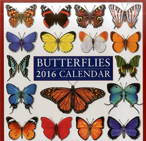 2016 Calendar: Butterflies