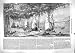 1860 SCENE UNDER VINES ITALY WINE GROWING GRAPES PRINT 1860 SCENE UNDER VINES ITALY WINE GROWING GRAPES PRINT