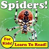 Spiders! Learn About Spiders While Learning To Read - Spider Photos And Facts Make It Easy! (Over 45+ Photos of Spiders)