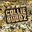Collie Buddz