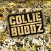 Collie Buddz - Collie Buddz