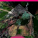 Vol. 5-Board Up the House Remixes [Vinyl]