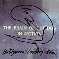 The Brain Of The Dog In Section