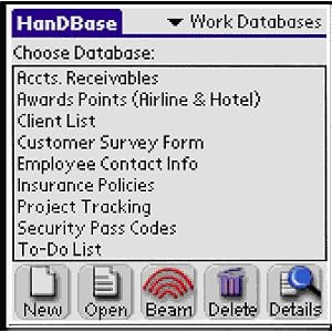 HanDBase for Palm OS by DDH Software Inc
