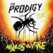 Prodigy Ft Big Noyd - Gun Play