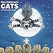 Gary Patterson's Cats 2016 Wall Calendar