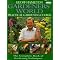 Palms, Cycads and Exotic Plants