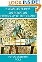 An Egyptian Hieroglyphic Dictionary Volume 1: With an Index of English Words, King List, a Geographical List with Indexes, and List of Hieroglyphic Characters