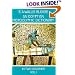 An Egyptian Hieroglyphic Dictionary : With an Index of English Words, King List, and Geographical List with Indexes, List of Hieroglyphic Characters, Coptic and Semitic Alphabets (Vol 1)