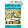 An Egyptian Hieroglyphic Dictionary, Vol. 1