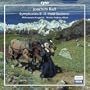 Raff: Symphonies 8 - 11 "Four Seasons"