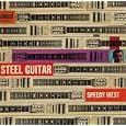 Steel Guitar