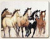 11"x15" Cutting Board ~ Wild Horses Stepping Out ~ large tempered glass cutting board ~ code 256