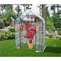 Quictent Walk in Mini Greenhouse Includes 4 Shelves
