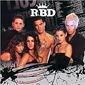 RBD 2008 16 Month Wall Calendar
