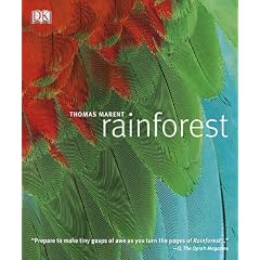 Rainforest