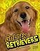 Golden Retrievers (Edge Books)
