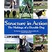 Structure in Action: The Makings of a Durable Dog