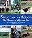 Structure in Action: The Makings of a Durable Dog
