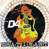 D4 - What I Want