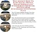 The Secret How To Earn Extra Money, Sales Models and eCommerce for Scuba Diving Gear Businesses 3 CD Power Pack