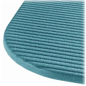 AIREX AR-180RB Premium 71- by 23- by .4-Inch Exercise Mat