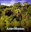 Regenwald Amazonas. Serie auf 4 Audio-CDs: Edition 1 Abenteuer Brasilien, Edition 2 Anavilhanas, Edition 3 Terra Firma, Edition 4 Geheimnisvolle N&auml;chte: Regenwald Amazonas,Ed.2 Anavilhanas